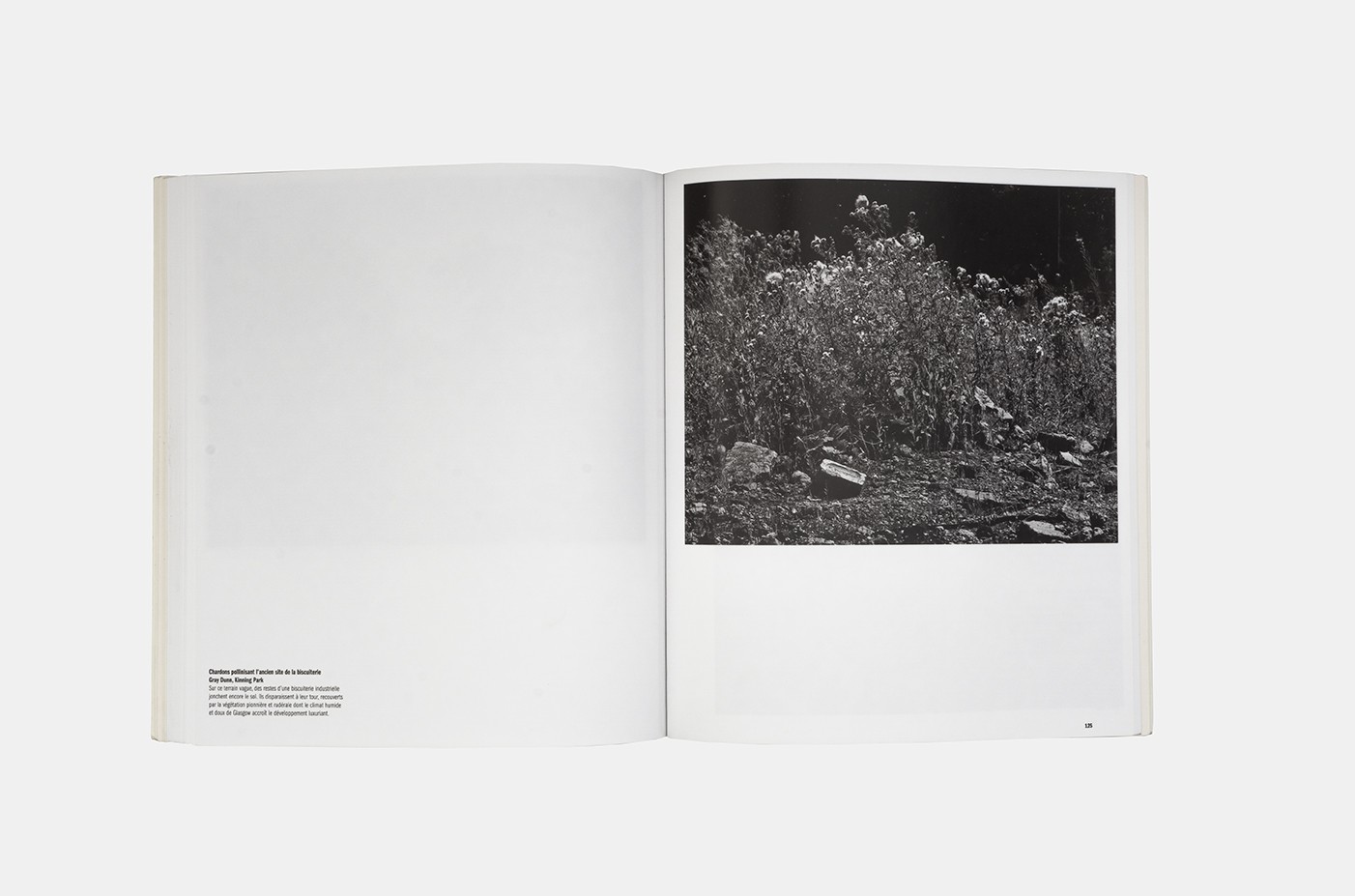 Camille Fallet - Grass Grows - *Grass Grows*
Le Point du jour, 19,7 x 22,4 cm, broché avec jaquette, 122 photographies en couleur et noir & blanc, 168 pages, avec le texte 